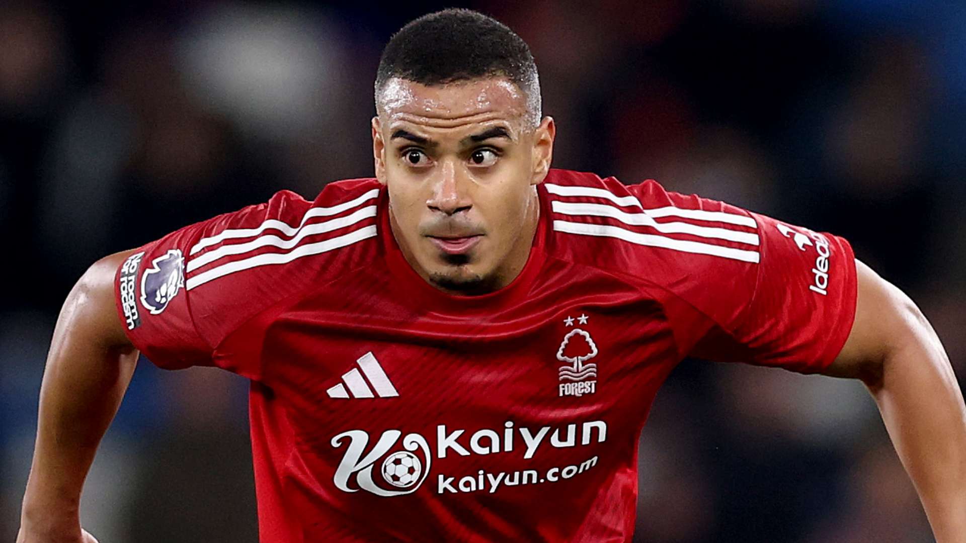 新能源汽车 新能源汽车