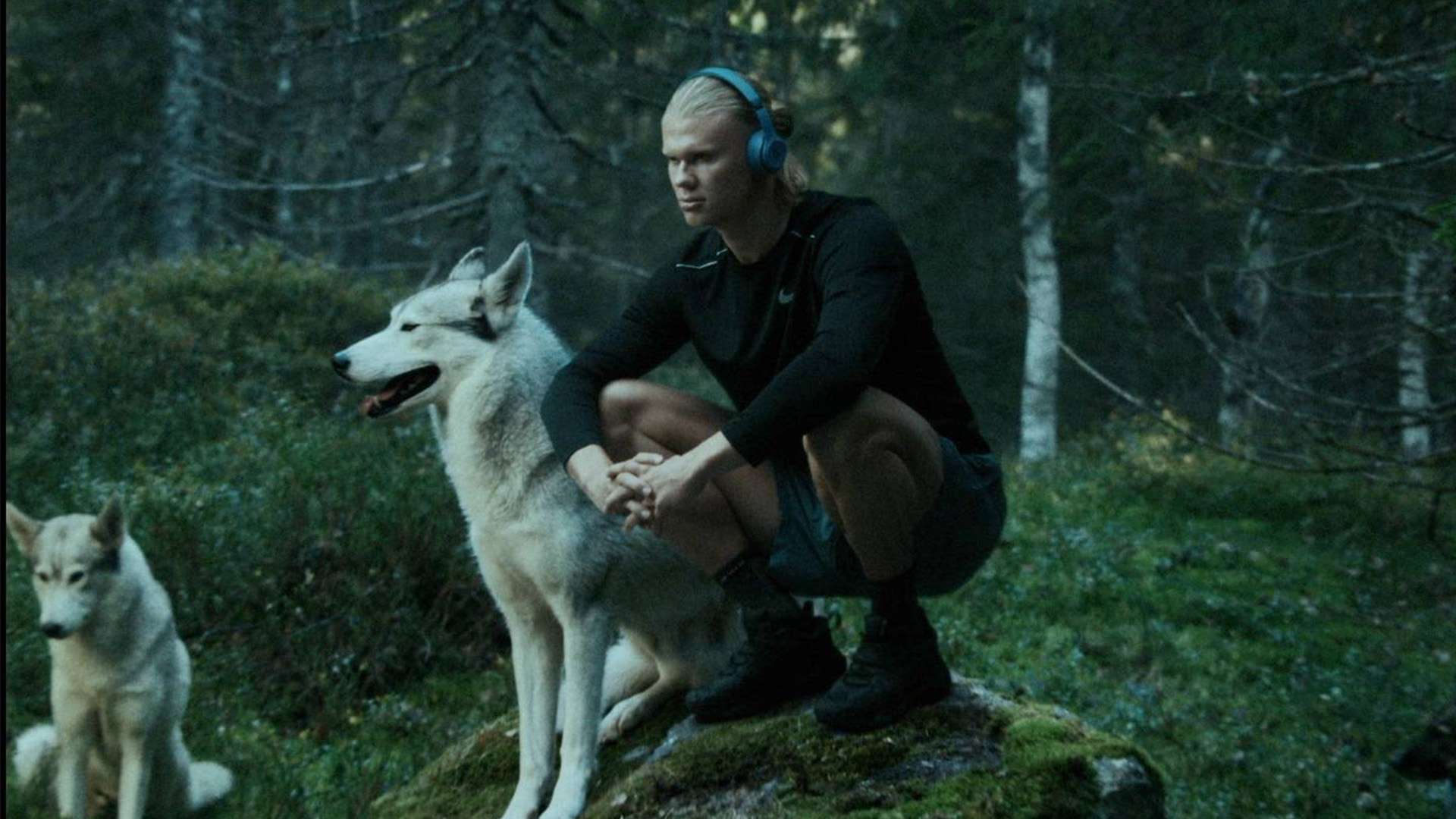 球员往往面 球员往往面